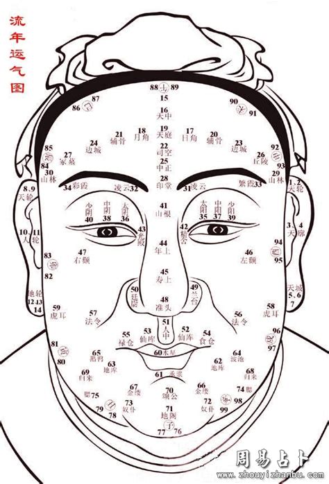 面相歲數|面相年龄图解大全 面相的岁数是怎么看